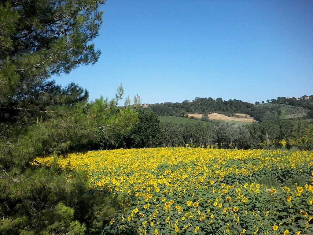 سان جيميني Bed And Breakfast Casale Isorella المظهر الخارجي الصورة