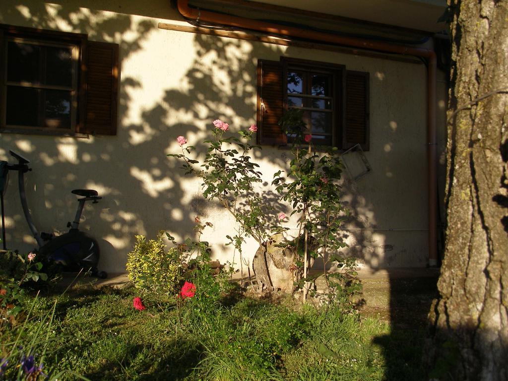 سان جيميني Bed And Breakfast Casale Isorella المظهر الخارجي الصورة